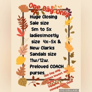 New Torrid, Ashley Stewart, Catherine’s, Dress Barn, Lane Bryant, Ethyl, QVC etc